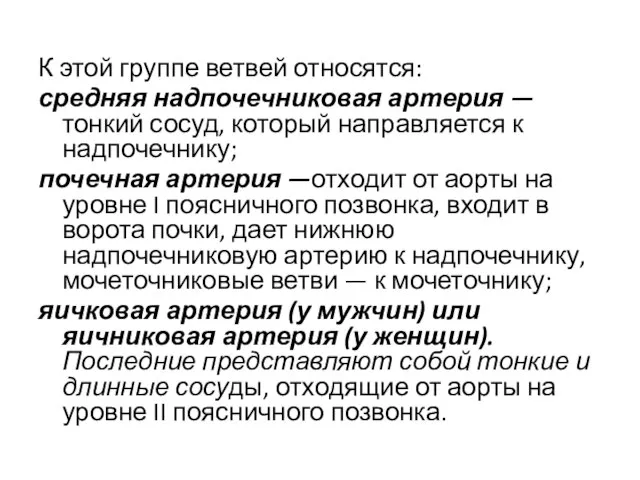 К этой группе ветвей относятся: средняя надпочечниковая артерия —тонкий сосуд, который направляется