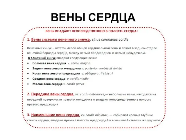 ВЕНЫ СЕРДЦА