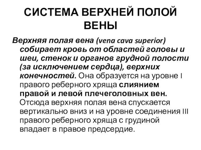 СИСТЕМА ВЕРХНЕЙ ПОЛОЙ ВЕНЫ Верхняя полая вена (vena cava superior) собирает кровь