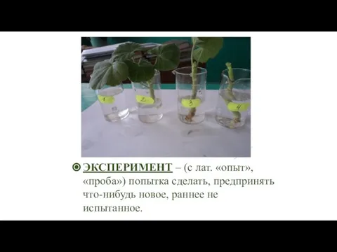 ЭКСПЕРИМЕНТ – (с лат. «опыт», «проба») попытка сделать, предпринять что-нибудь новое, раннее не испытанное.