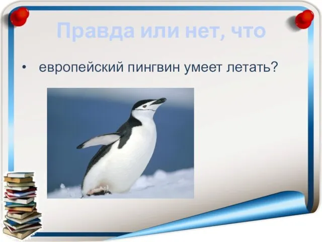 Правда или нет, что европейский пингвин умеет летать?