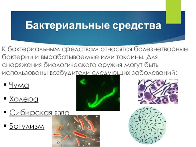 Бактериальные средства К бактериальным средствам относятся болезнетворные бактерии и вырабатываемые ими токсины.