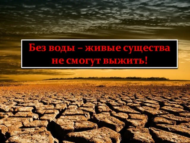 Без воды – живые существа не смогут выжить!