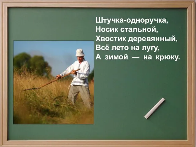 Штучка-одноручка, Носик стальной, Хвостик деревянный, Всё лето на лугу, А зимой — на крюку.