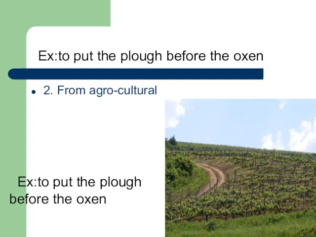 Ex:to put the plough before the oxen 2. From agro-cultural Ex:to put