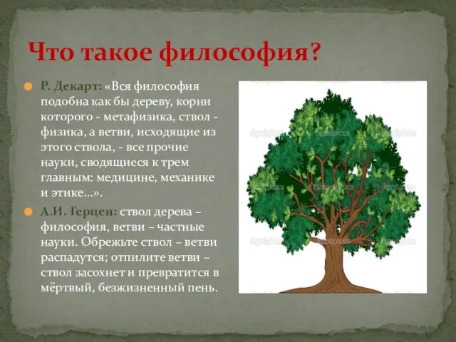 Что такое философия? Р. Декарт: «Вся философия подобна как бы дереву, корни