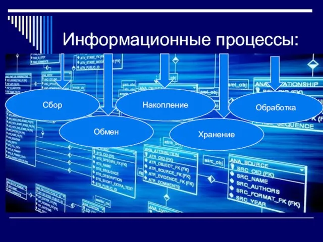 Информационные процессы: Сбор Обмен Накопление Хранение Обработка