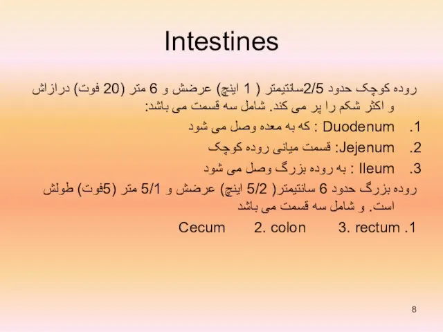 Intestines روده کوچک حدود 2/5سانتیمتر ( 1 اینچ) عرضش و 6 متر