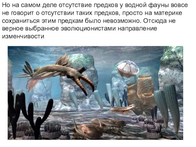 Но на самом деле отсутствие предков у водной фауны вовсе не говорит
