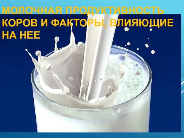 МОЛОЧНАЯ ПРОДУКТИВНОСТЬ КОРОВ И ФАКТОРЫ, ВЛИЯЮЩИЕ НА НЕЕ