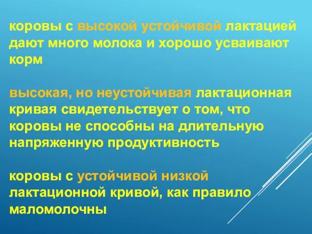 коровы с высокой устойчивой лактацией дают много молока и хорошо усваивают корм