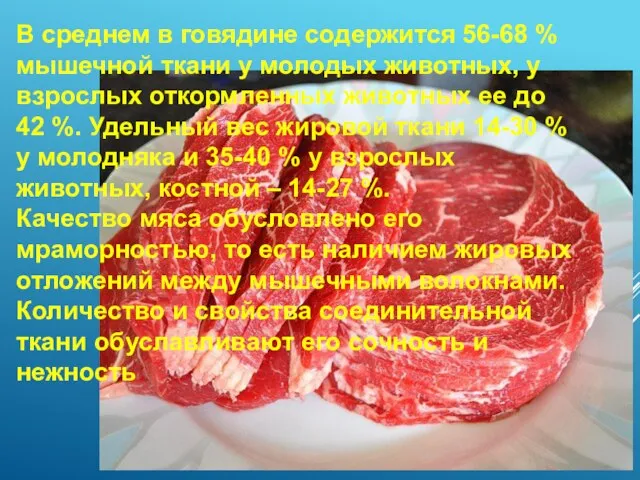 В среднем в говядине содержится 56-68 % мышечной ткани у молодых животных,