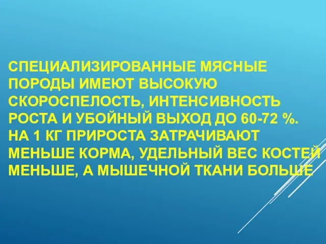 СПЕЦИАЛИЗИРОВАННЫЕ МЯСНЫЕ ПОРОДЫ ИМЕЮТ ВЫСОКУЮ СКОРОСПЕЛОСТЬ, ИНТЕНСИВНОСТЬ РОСТА И УБОЙНЫЙ ВЫХОД ДО