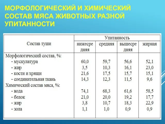 МОРФОЛОГИЧЕСКИЙ И ХИМИЧЕСКИЙ СОСТАВ МЯСА ЖИВОТНЫХ РАЗНОЙ УПИТАННОСТИ