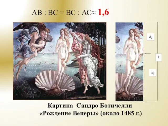 Картина Сандро Ботичелли «Рождение Венеры» (около 1485 г.) AB : BC = BC : АС≈ 1,6