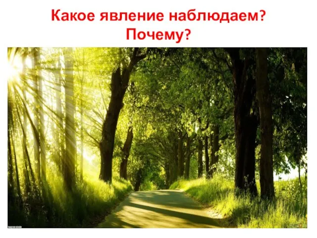 Какое явление наблюдаем? Почему?