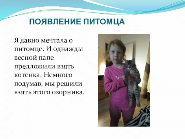 ПОЯВЛЕНИЕ ПИТОМЦА Я давно мечтала о питомце. И однажды весной папе предложили