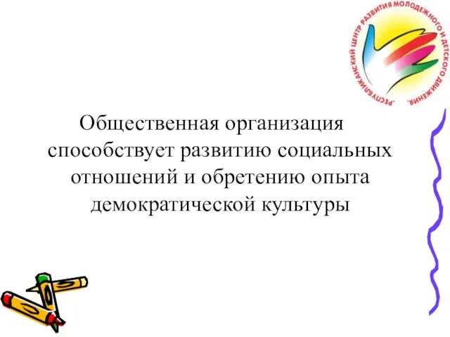 Общественная организация способствует развитию социальных отношений и обретению опыта демократической культуры