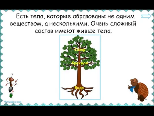 Есть тела, которые образованы не одним веществом, а несколькими. Очень сложный состав имеют живые тела.