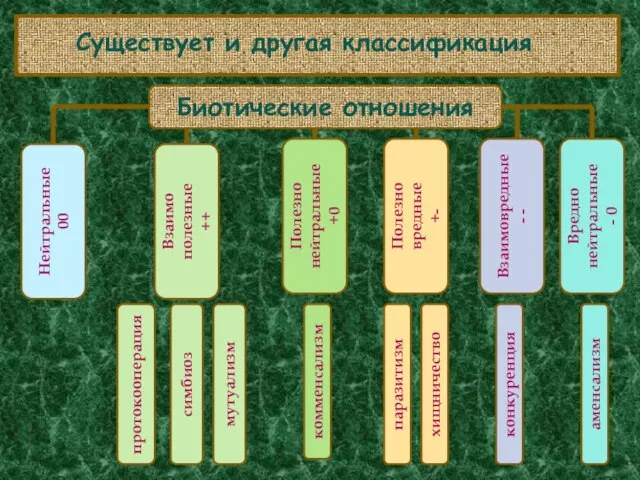 Существует и другая классификация Биотические отношения Нейтральные 00 Взаимо полезные ++ Полезно