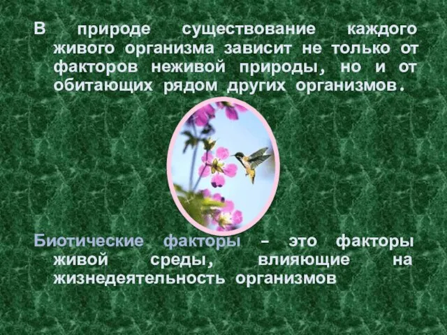 В природе существование каждого живого организма зависит не только от факторов неживой