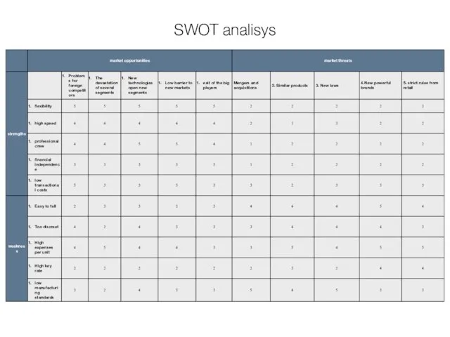 SWOT analisys