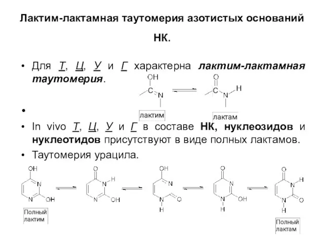 Лактим-лактамная таутомерия азотистых оснований НК. Для Т, Ц, У и Г характерна