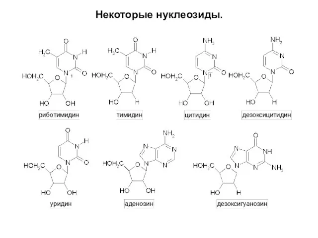 Некоторые нуклеозиды.