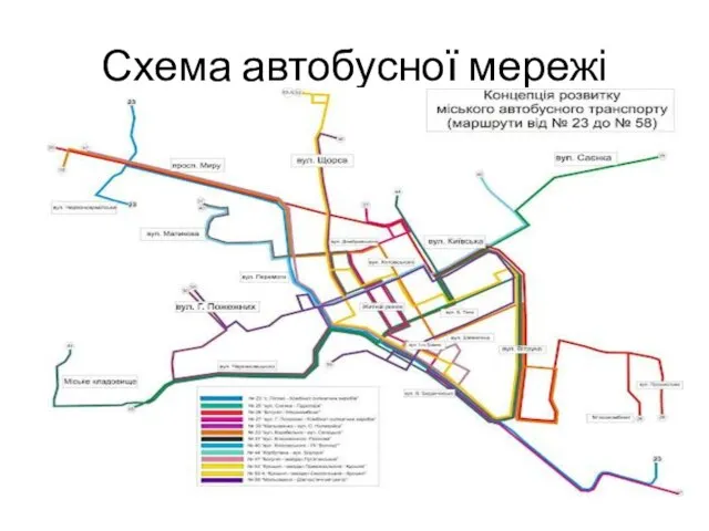 Схема автобусної мережі