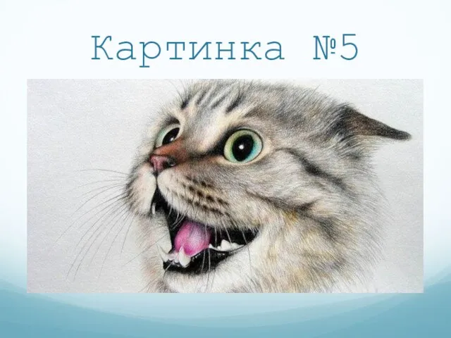 Картинка №5