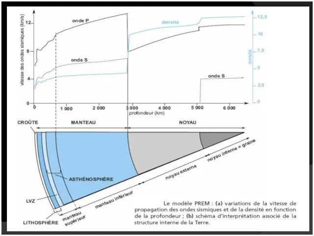 Preliminary Reference Earth Model PREM