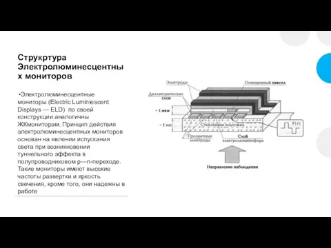 Струкртура Электролюминесцентных мониторов Электролюминесцентные мониторы (Electric Luminiescent Displays — ELD) по своей