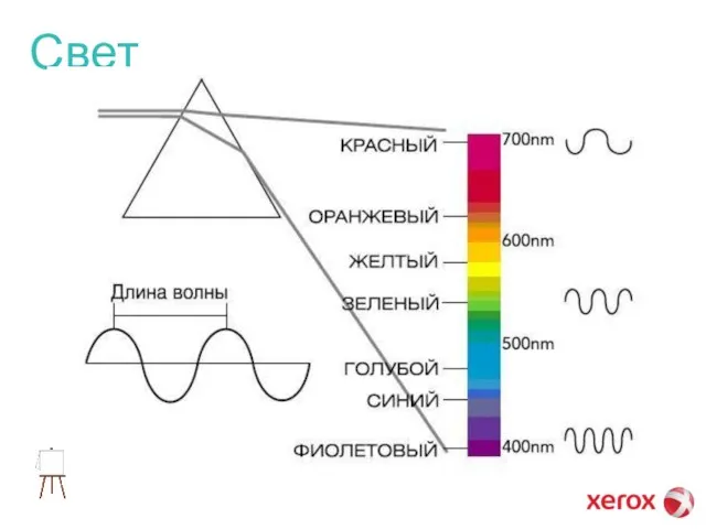 Свет