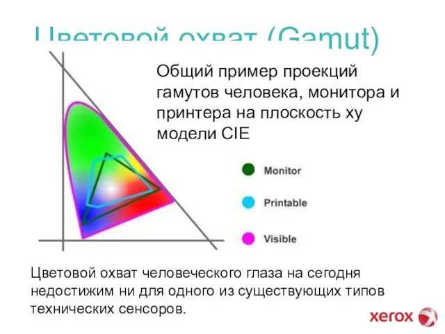 Цветовой охват (Gamut) Общий пример проекций гамутов человека, монитора и принтера на