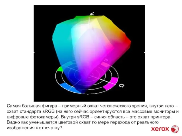 Cамая большая фигура – примерный охват человеческого зрения, внутри него – охват