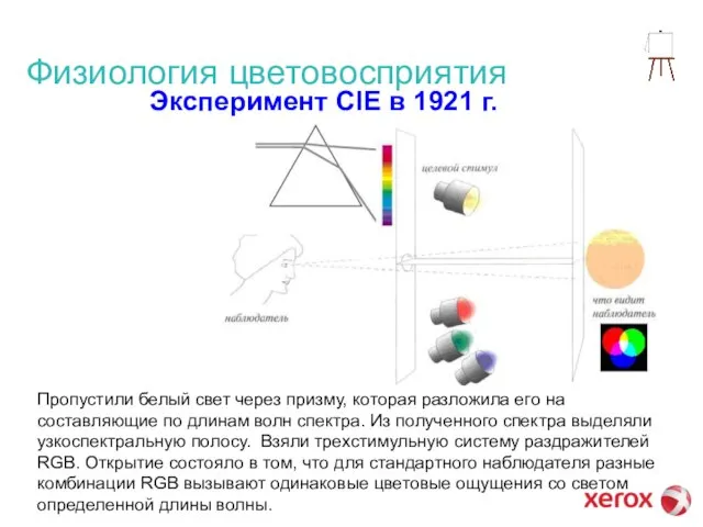 Физиология цветовосприятия Эксперимент CIE в 1921 г. Пропустили белый свет через призму,