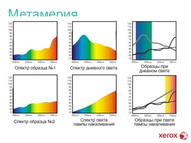 Метамерия