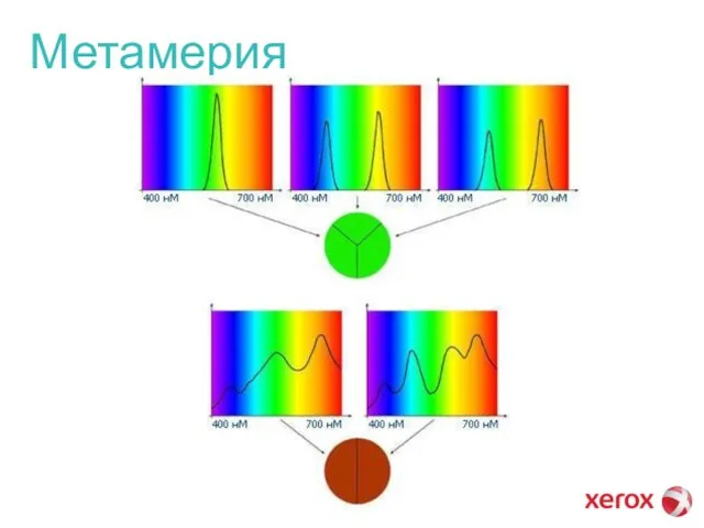 Метамерия