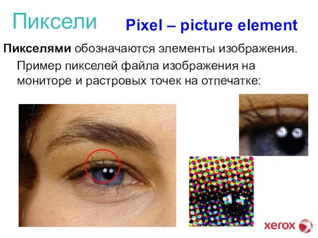 Пиксели Пикселями обозначаются элементы изображения. Pixel – picture element Пример пикселей файла