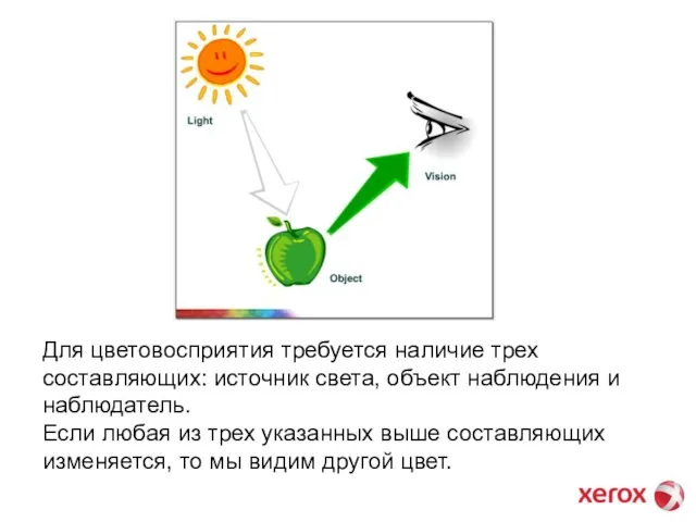 Для цветовосприятия требуется наличие трех составляющих: источник света, объект наблюдения и наблюдатель.