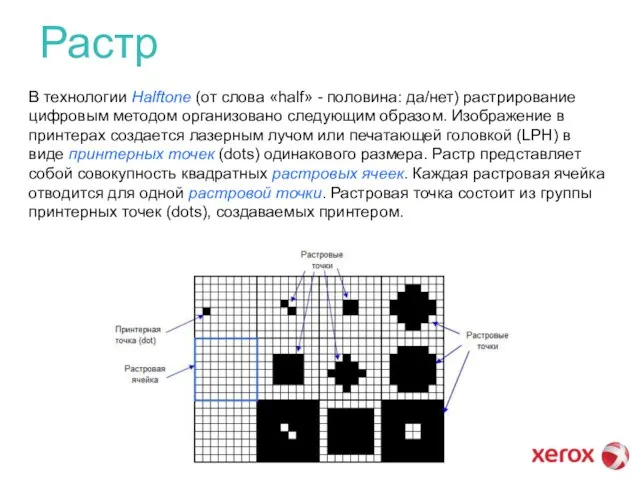 Растр В технологии Halftone (от слова «half» - половина: да/нет) растрирование цифровым