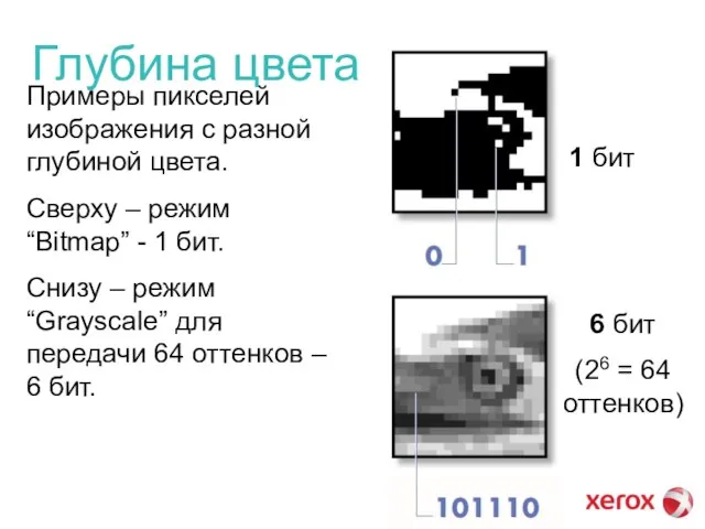 Глубина цвета 1 бит 6 бит (26 = 64 оттенков) Примеры пикселей