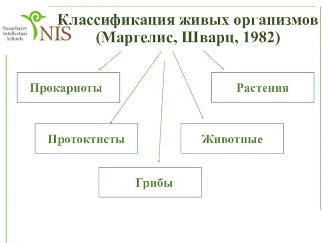 Классификация живых организмов (Маргелис, Шварц, 1982) Прокариотыо Растения Животные мГрибы Протоктисты