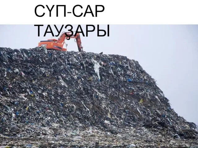 СҮП-САР ТАУҘАРЫ