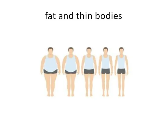fat and thin bodies