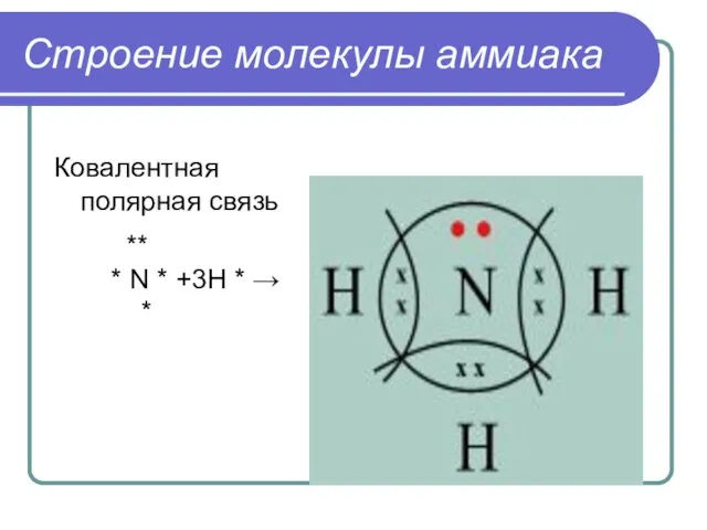 Строение молекулы аммиака Ковалентная полярная связь ** * N * +3H * → *