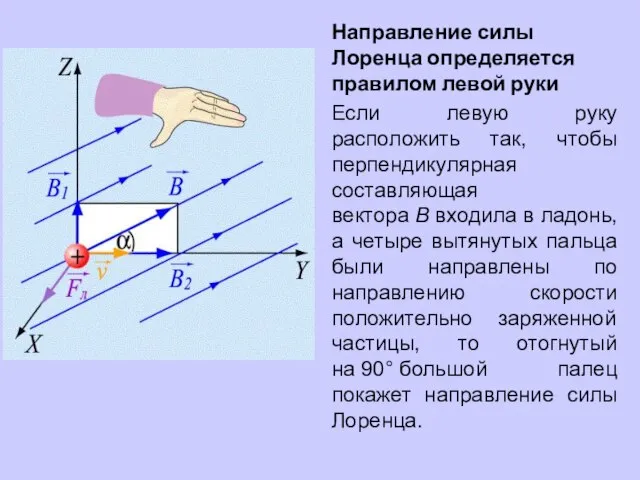 Направление силы Лоренца определяется правилом левой руки Если левую руку расположить так,