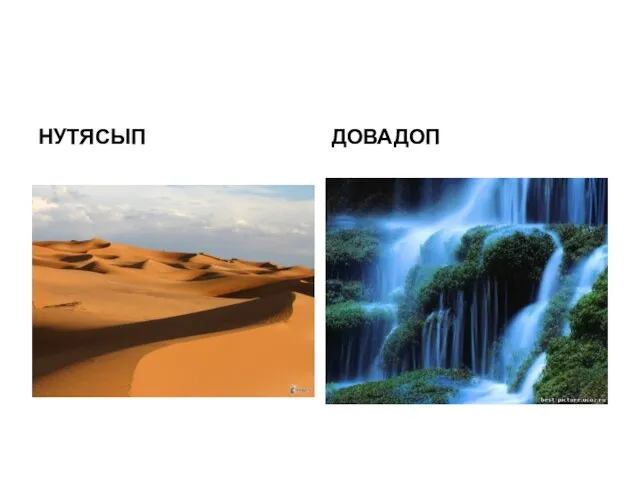 НУТЯСЫП ДОВАДОП