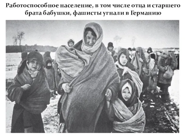 Работоспособное население, в том числе отца и старшего брата бабушки, фашисты угнали в Германию