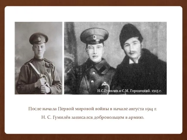 После начала Первой мировой войны в начале августа 1914 г. Н. С.